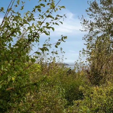 Architect-designed In Veddinge Hills * Фаревейле